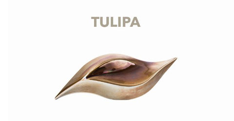 فن جداري إبداعي